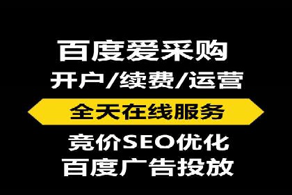 百度竞价代运营成功案例解析